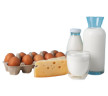 Sans-titre-1_0003_Calque-1